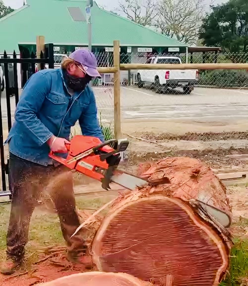 Chainsaw cutting large log for processing